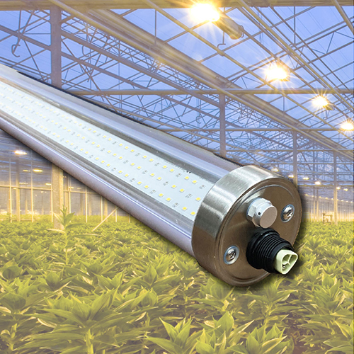 stainless-steel-grow-light-commerical-growing-greenhouse-industrial-lighting-horner-automation-process-solutions-corp